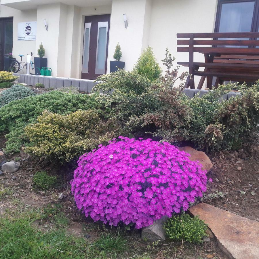 Apartamenty Przy Trakcie Cesarskim Венгерска Гурка Екстериор снимка